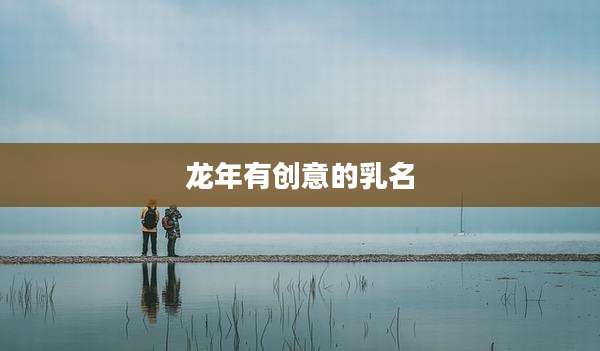 龙年有创意的乳名