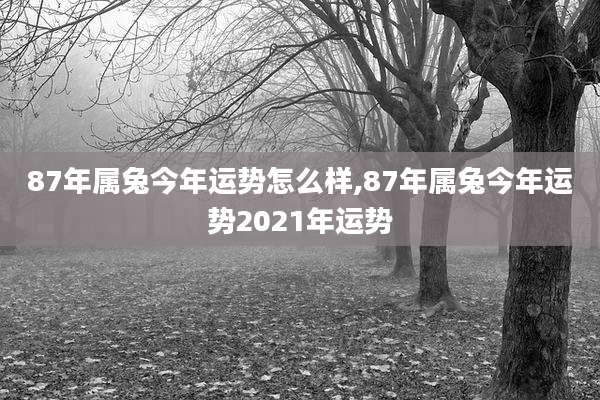 87年属兔今年运势怎么样,87年属兔今年运势2021年运势