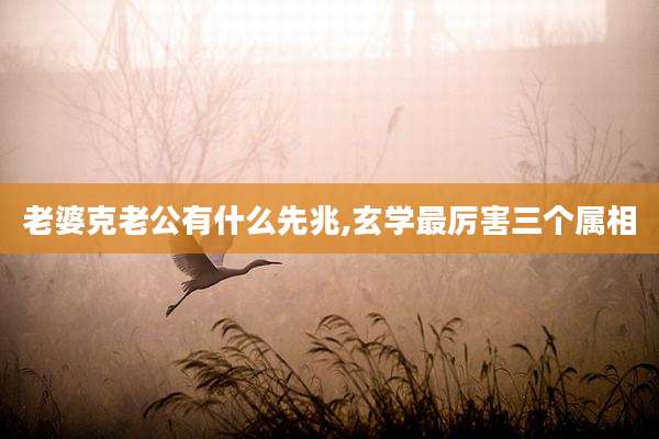 老婆克老公有什么先兆,玄学最厉害三个属相