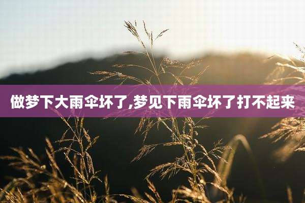 做梦下大雨伞坏了,梦见下雨伞坏了打不起来