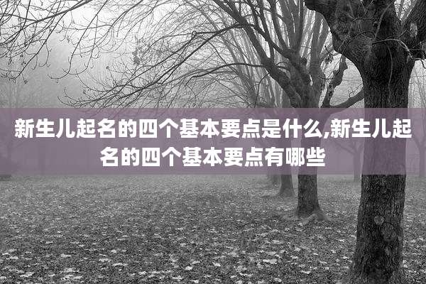 新生儿起名的四个基本要点是什么,新生儿起名的四个基本要点有哪些