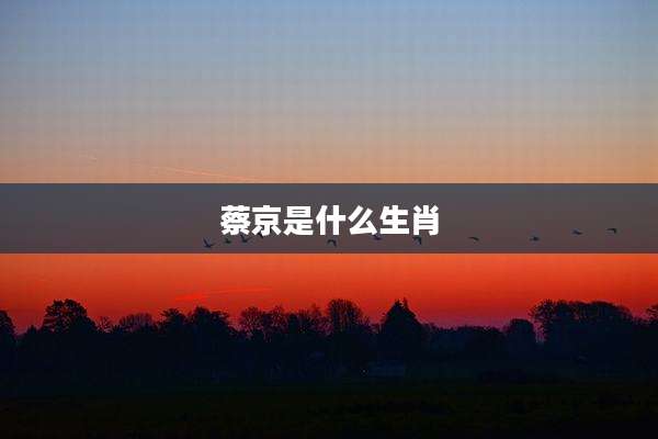 蔡京是什么生肖