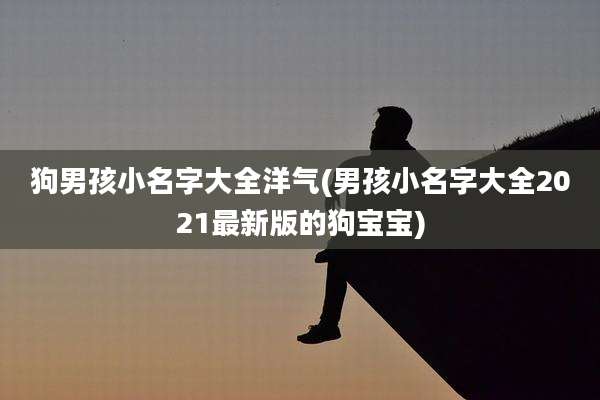 狗男孩小名字大全洋气(男孩小名字大全2021最新版的狗宝宝)