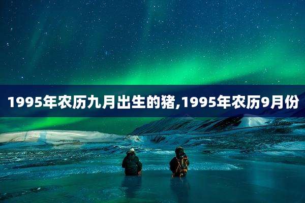 1995年农历九月出生的猪,1995年农历9月份