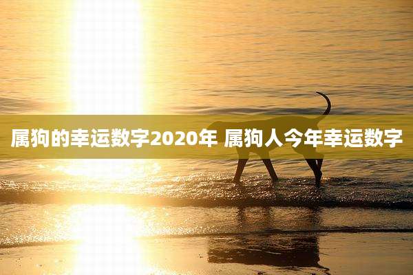 属狗的幸运数字2020年 属狗人今年幸运数字