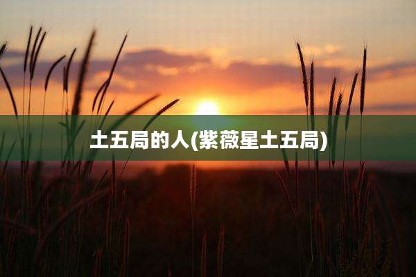 土五局的人(紫薇星土五局)