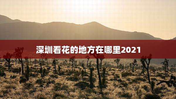 深圳看花的地方在哪里2021