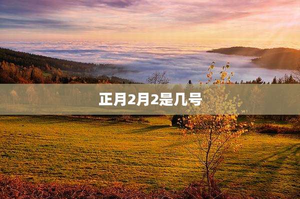 正月2月2是几号