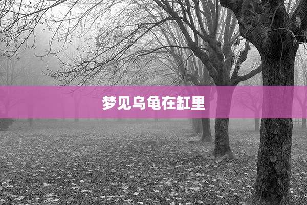 梦见乌龟在缸里