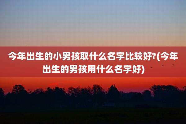 今年出生的小男孩取什么名字比较好?(今年出生的男孩用什么名字好)