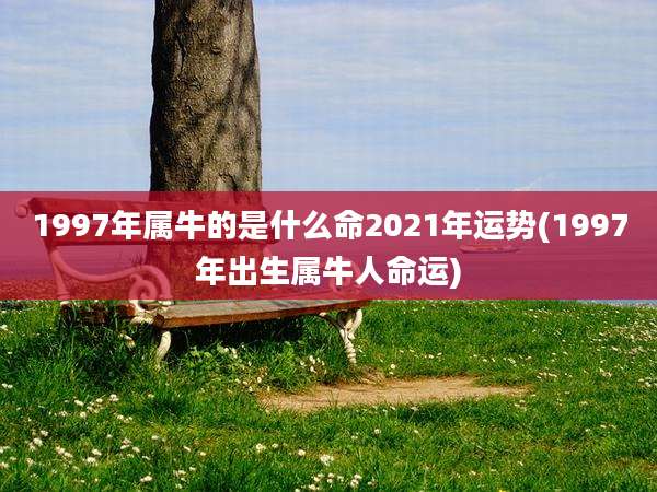 1997年属牛的是什么命2021年运势(1997年出生属牛人命运)
