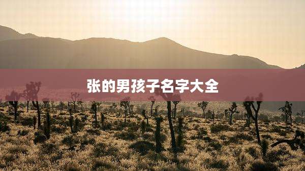张的男孩子名字大全