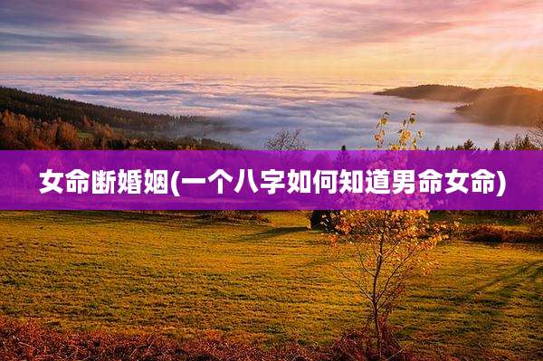 女命断婚姻(一个八字如何知道男命女命)