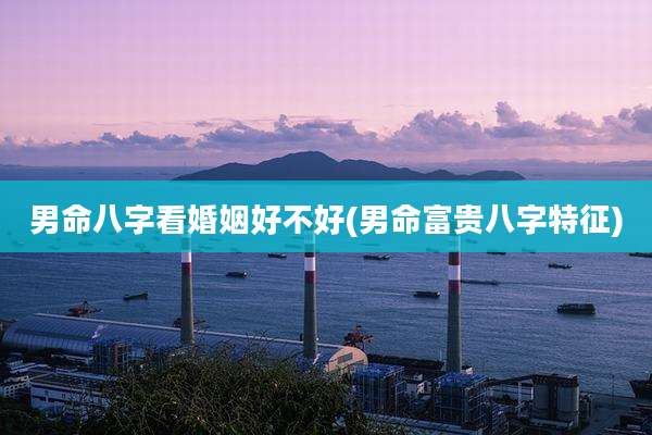 男命八字看婚姻好不好(男命富贵八字特征)