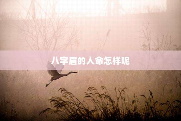 八字眉的人命怎样呢