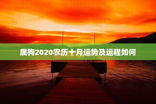 属狗2020农历十月运势及运程如何