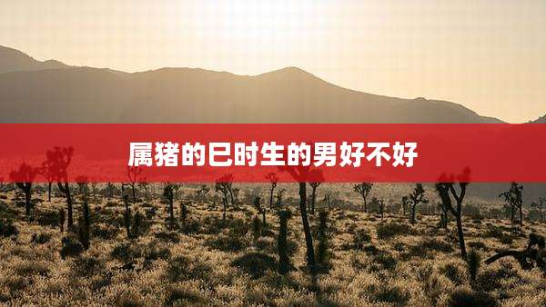 属猪的巳时生的男好不好