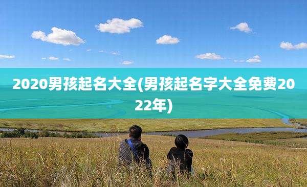 2020男孩起名大全(男孩起名字大全免费2022年)