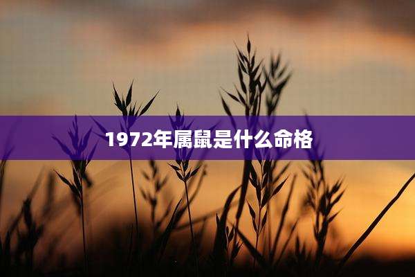 1972年属鼠是什么命格