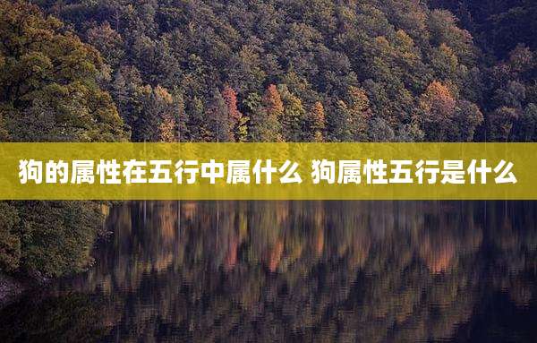 狗的属性在五行中属什么 狗属性五行是什么