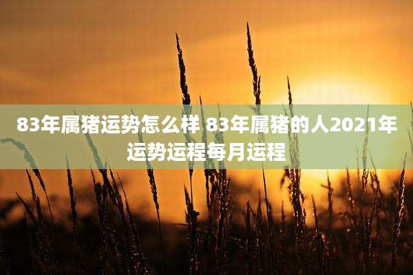 83年属猪运势怎么样 83年属猪的人2021年运势运程每月运程