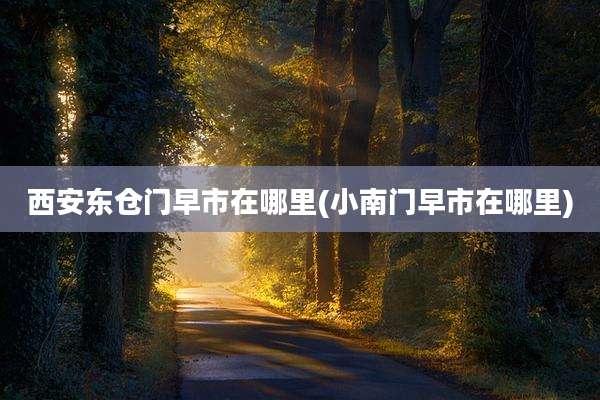 西安东仓门早市在哪里(小南门早市在哪里)