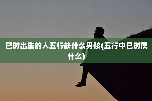 巳时出生的人五行缺什么男孩(五行中巳时属什么)
