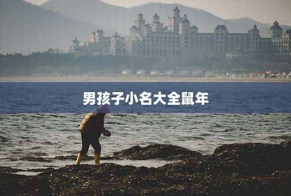 男孩子小名大全鼠年