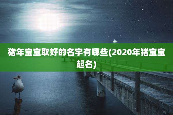 猪年宝宝取好的名字有哪些(2020年猪宝宝起名)