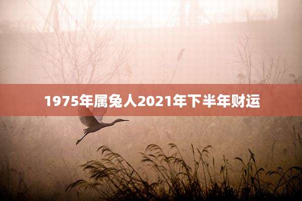 1975年属兔人2021年下半年财运