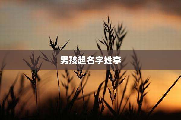 男孩起名字姓李