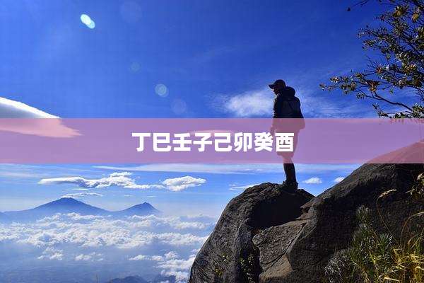 丁巳壬子己卯癸酉