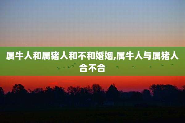 属牛人和属猪人和不和婚姻,属牛人与属猪人合不合