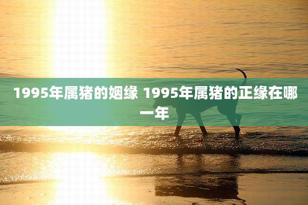 1995年属猪的姻缘 1995年属猪的正缘在哪一年