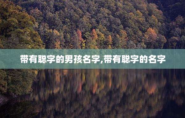 带有聪字的男孩名字,带有聪字的名字