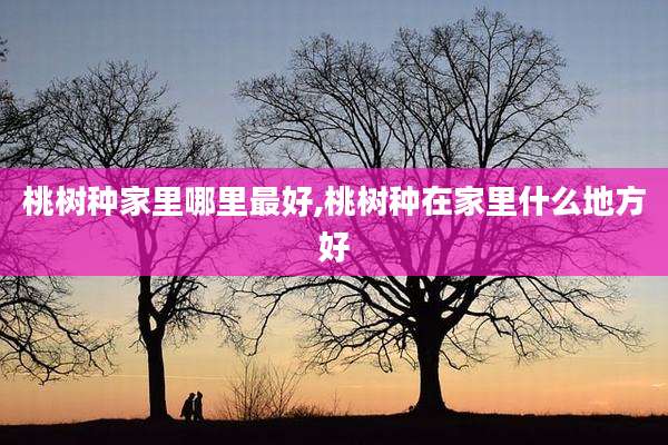 桃树种家里哪里最好,桃树种在家里什么地方好