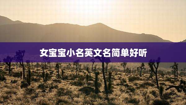 女宝宝小名英文名简单好听