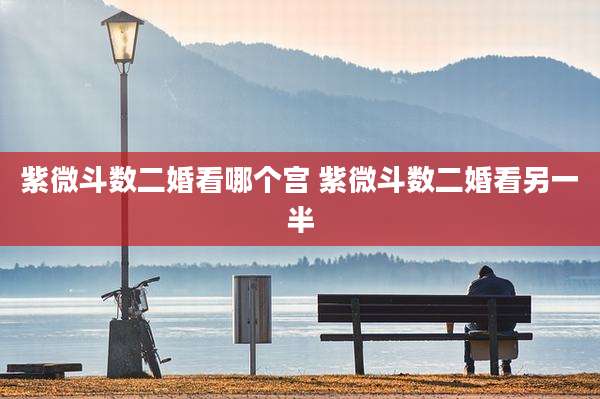 紫微斗数二婚看哪个宫 紫微斗数二婚看另一半
