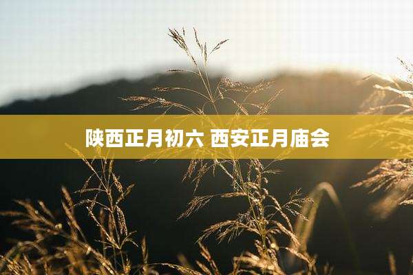 陕西正月初六 西安正月庙会