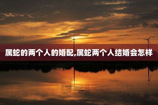 属蛇的两个人的婚配,属蛇两个人结婚会怎样