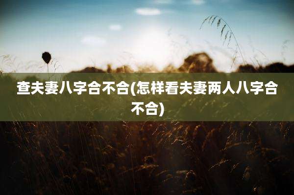 查夫妻八字合不合(怎样看夫妻两人八字合不合)