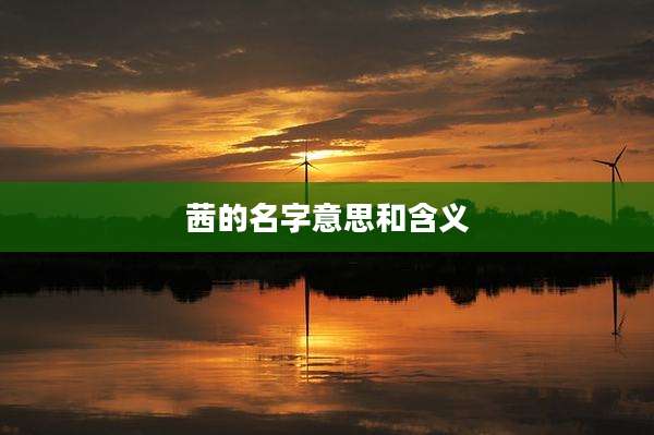 茜的名字意思和含义
