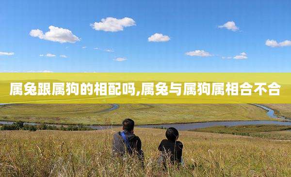 属兔跟属狗的相配吗,属兔与属狗属相合不合