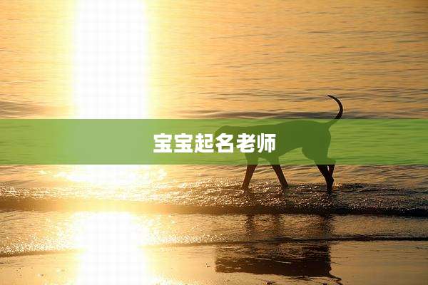 宝宝起名老师