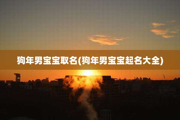 狗年男宝宝取名(狗年男宝宝起名大全)