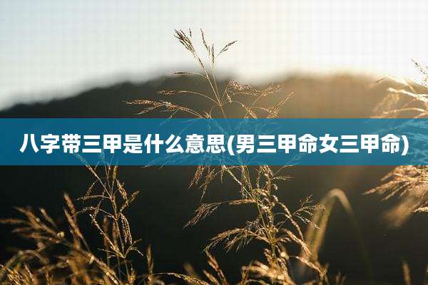 八字带三甲是什么意思(男三甲命女三甲命)