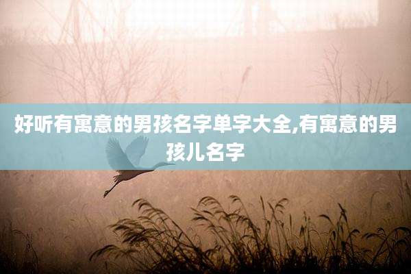 好听有寓意的男孩名字单字大全,有寓意的男孩儿名字