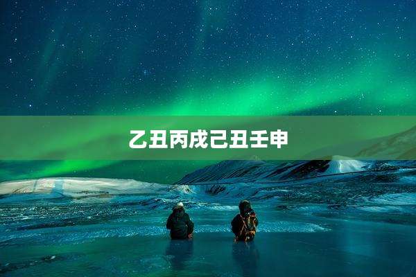 乙丑丙戌己丑壬申