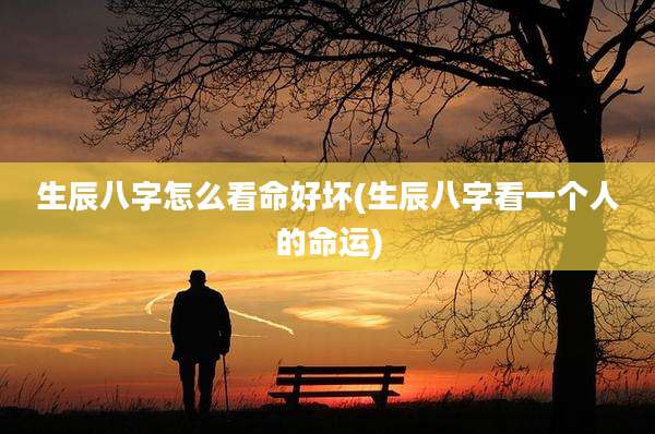 生辰八字怎么看命好坏(生辰八字看一个人的命运)
