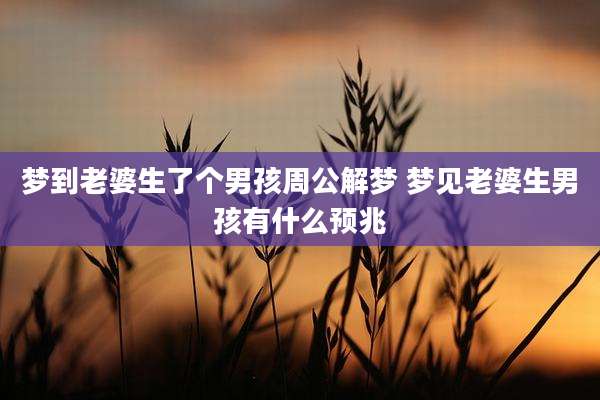 梦到老婆生了个男孩周公解梦 梦见老婆生男孩有什么预兆